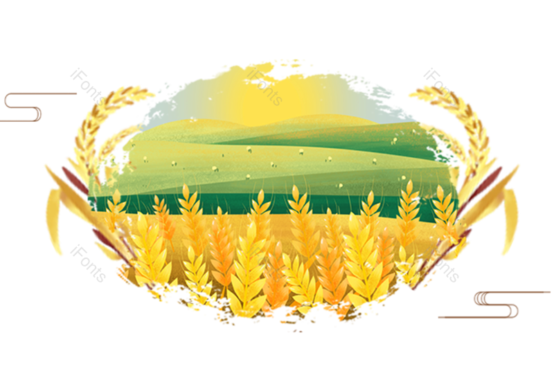 芒种图片,小满元素,清新PNG,秋天免抠素材